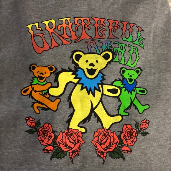 Grateful Dead Other - XL Grateful Dead Hoodie. Gray classic logo.